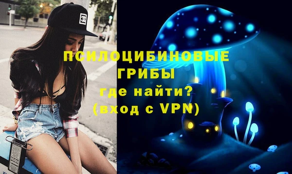мескалин Краснослободск