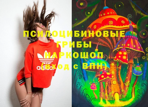 хмурый Кукмор